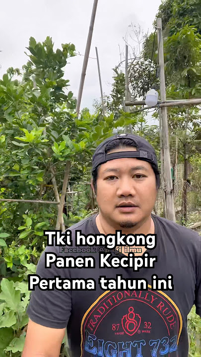 Tki Panen Kecipir #tklhongkong #tki #desadihongkong