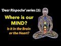 'Dear Rinpoche' series (3): Where is Our Mind?