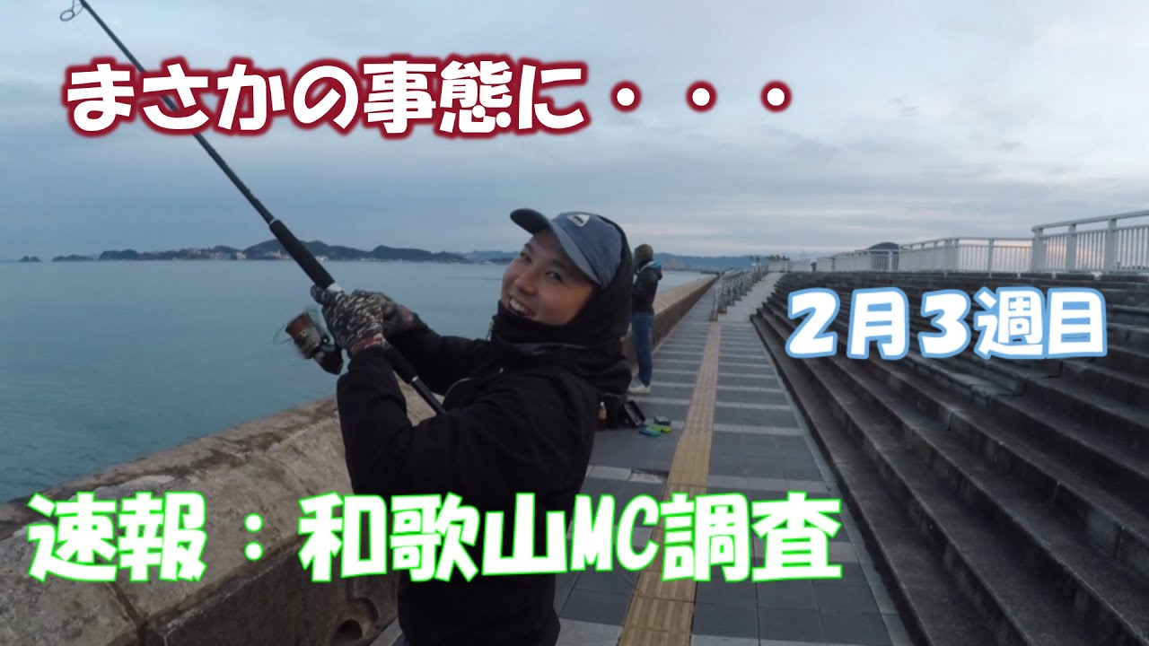 ショアジギング 速報 和歌山mc現在の状況 大阪湾の釣り Youtube