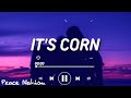 it&#39;s corn kid tiktok song (lyrics) | it&#39;s corn a big lump of knobs