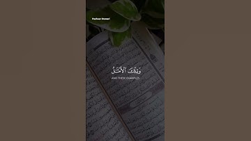 تلاوة خاشعة من سورة الحشر #سعد_الغامدى #quran #the_quran #تلاوات #تلاوة_خاشعة #القرآن_الكريم #المصحف