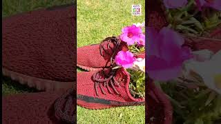 Moss Rose Planting In Old Shoes Beautiful Ideas For Restoration