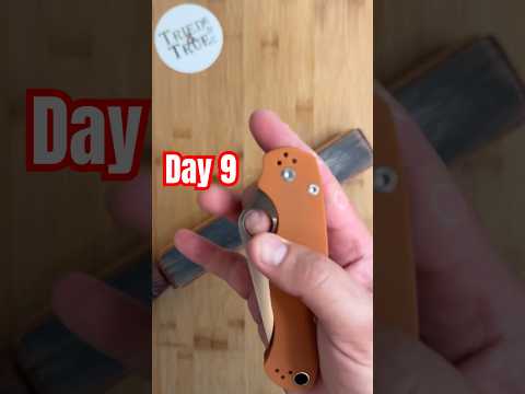 Retesting Day 9️⃣: Spyderco Paramilitary 2 Rex45   
