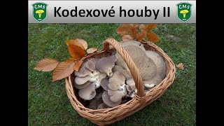 Petr Souček - Kodexové houby II (2022)