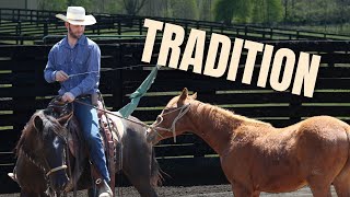 The Hackamore: History, Purpose, and Benefits