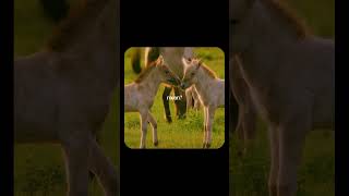 See The Real Reality Luke Belmar