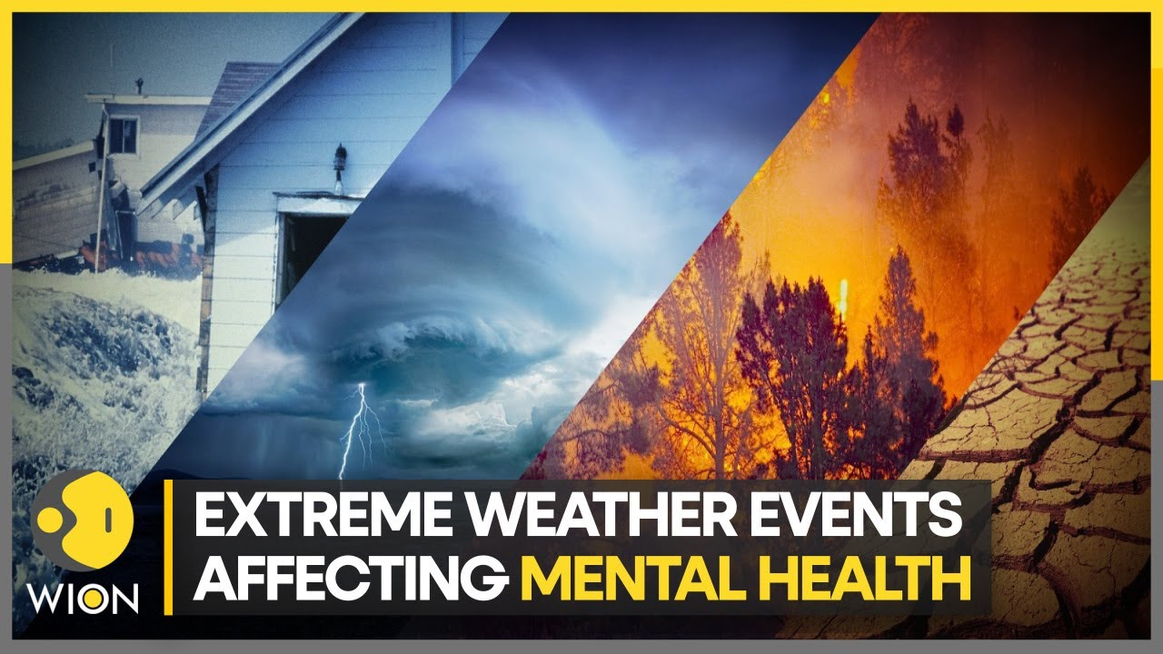 Your mental health can be impacted by climate-related events | WION Climate Tracker