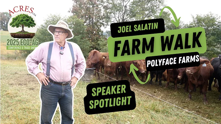 Inside Polyface Farms with Joel Salatin: The Economics and Ecology of Regenerative Farming
