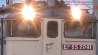 会いに行く EF65 2091 新鶴見機関区