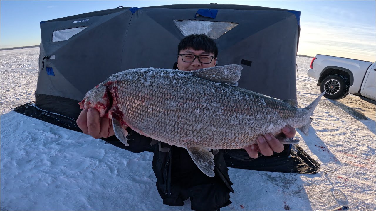 2 Days Up North - Ice Fishing for Tullibee & Lake Whitefish (Leech Lake, Minnesota)
