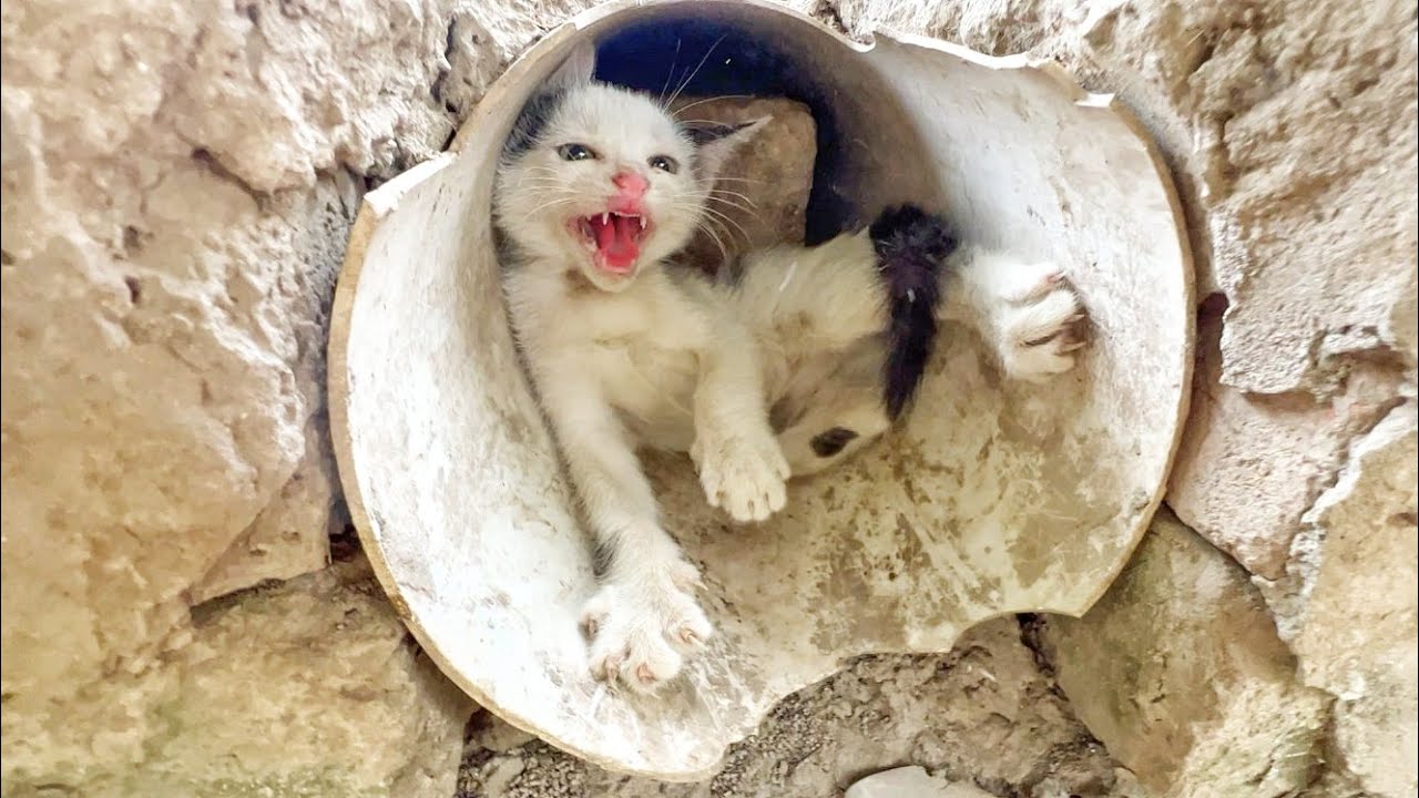 She began to understand the touch of love that changed her world quietly.