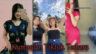 Tiktok Pemersatu Bangsa
