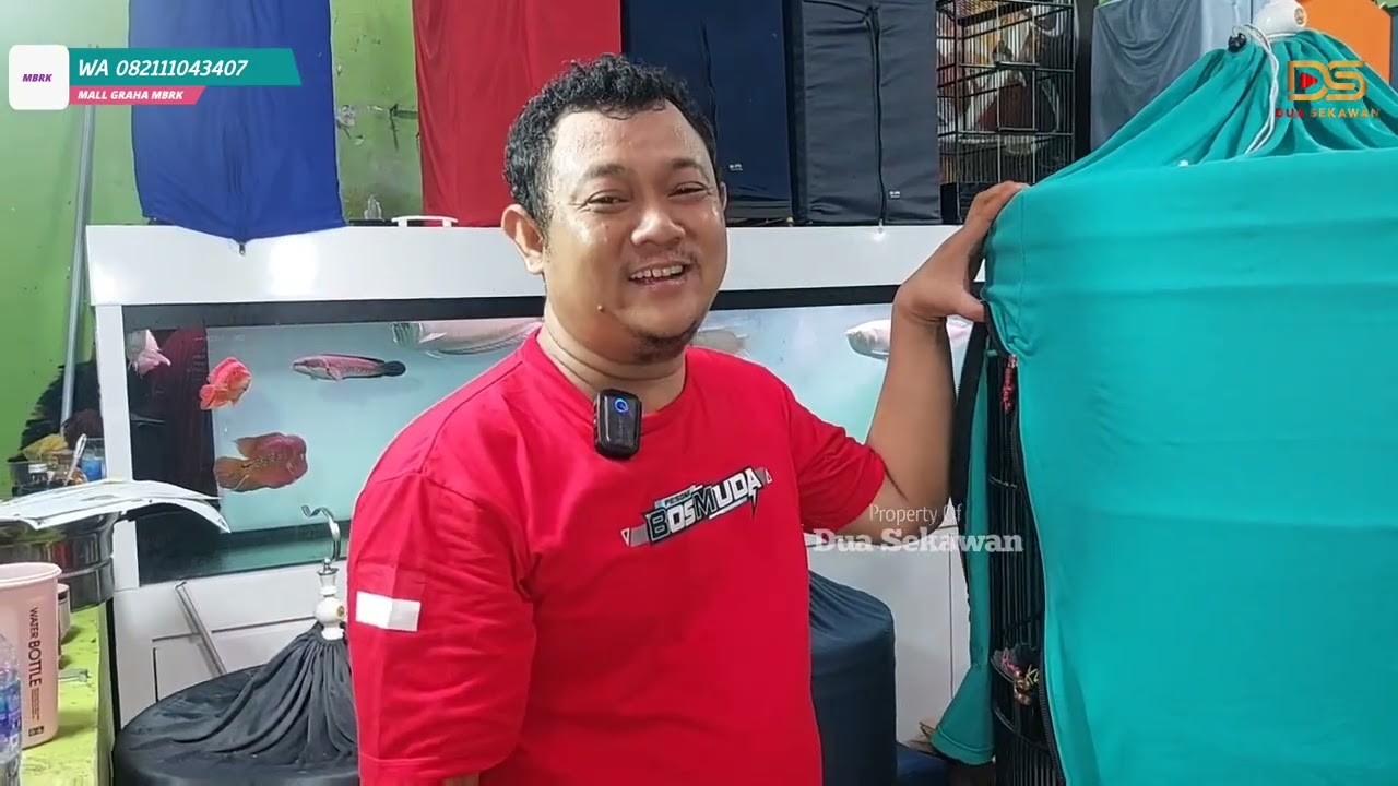 CEK WA ORDEER 082,111,043,407 GRAGA MBRK