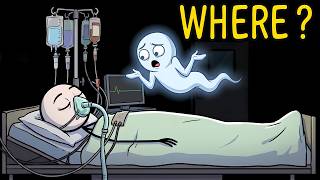 Where Do You Go Under Anesthesia
