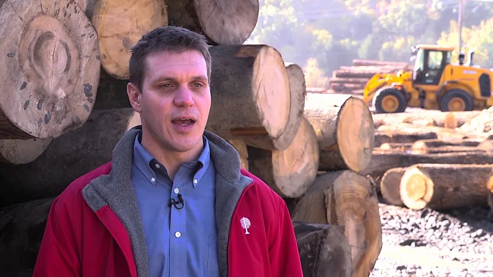 Paul Sark, Matson Lumber Company President, Hyunda...