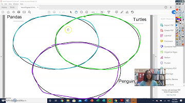 3 Circle Venn Diagrams