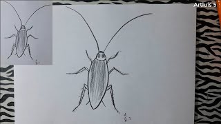 Come Disegnare Una Blatta