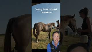 Training Firefly to stand still or ground tie