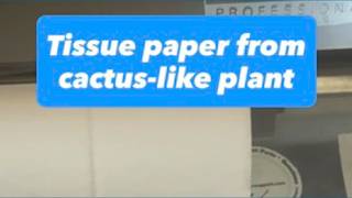 Toilet paper made from cactus-like plant