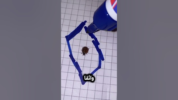 هذه الحشرة فائقة الذكاء!🤯