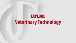 Celebrity Veterinary Technology Program at UC Blue Ash College Profile