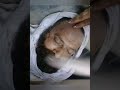 القبض علي القاتل المختل قاتل ابونا ارسانيوس كاهن كنيسه العذراء محرم بك