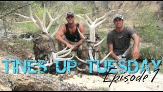Tines Up Tuesday: Episode 1, Shed Antler Hunting Overnight Backpack Trip with Tadd and Eric
