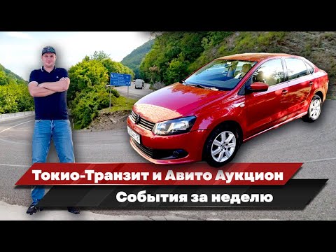 Оценка и выкуп автомобилей в Краснодаре. ТОКИО-ТРАНЗИТ и Авито Аукцион, часть 2