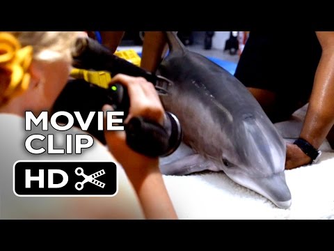 Dolphin Tale 2 Movie CLIP - When That Truck Arrives (2014) - Harry Connick, Jr Dolphin Drama HD