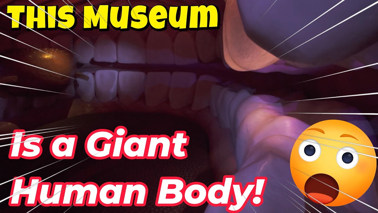 Museum Corpus Netherlands, Inside a Human Giant!!!