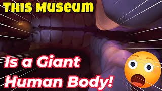 Museum Corpus Netherlands, Inside A Human Giant