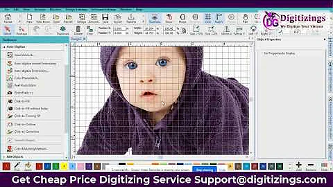 Convert Image To Embroidery File Free | Convert Photo Into Embroidery Machine File | Digitizings.com