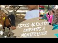 Parc petit paradis et teraventure montpellier idees activites enfants  simplement el