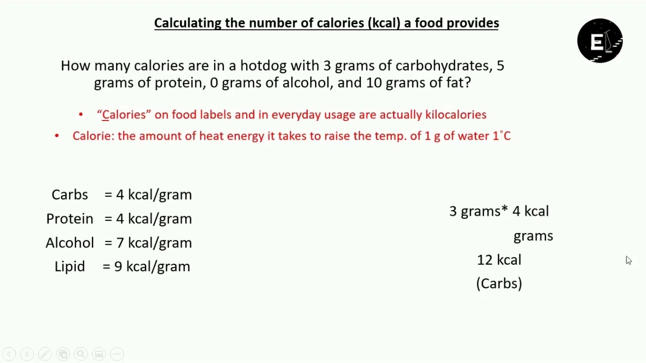 Calculating the number of calories (kcal) a food provides HOTDOG
