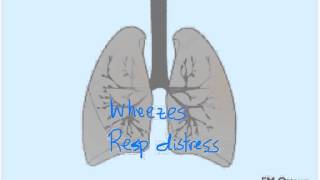 Anaphylaxis