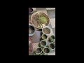 Atla Thadhi Jajalu рџЊ рџЊ рџЊїрџЊї Continuation Part Telugu Subscribe Supportmychannel Atla Thadhi Jajalu рџЊ рџЊ рџЊїрџЊї Continuation Part Telugu Subscribe Supportmychannel