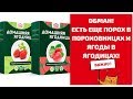 Телефонный разговор с продавцом Чудо ягодниц! Чудо-ягодница Сказочный сбор Голландская клубника.