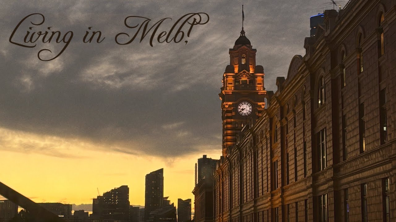 🐨 멜버른 Vlog / 11월 멜번 일상 / 워홀러 막바지 / 놀고먹고 일하는 호주 워홀러 / Max on Hardware / 캥거루 스테이크 먹어봤어?