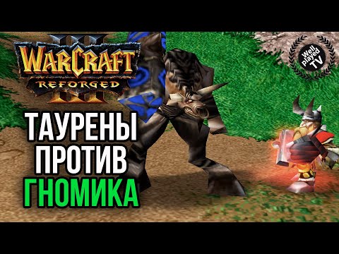 Видео: ТАУРЕНЫ ПРОТИВ ГОРНОГО КОРОЛЯ: Warcraft 3 Reforged