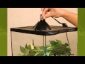 PetSolutions Zilla Light & Heat Halogen Mini Dome Reptile Fixture