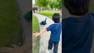 Omer Or Moor Ny Dance Kiya K Nhi