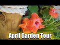 April garden tour