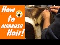 Getting started with airbrushing hair!