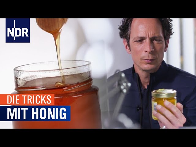Die Tricks mit Honig | Die Tricks | NDR