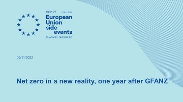 Net zero in a new reality, one year after GFANZ