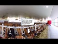 360 Degree Virtual Farm Tour: Sustainable Practices on New England Dairy Farms