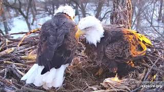 Decorah Eagles 2 26 20, 5:44 pm 1st egg of 2020 for DE (11:10 into this video)