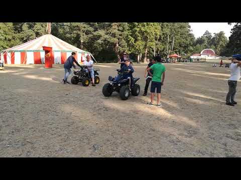 მანგლისი 17