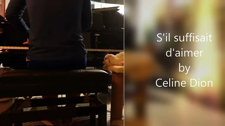 S'il suffisait d'aimer by Celine Dion | Piano Cove...