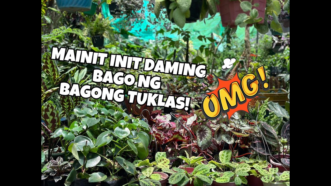 MALULA SA DAMING BAGO NG BAGONG TUKLAS